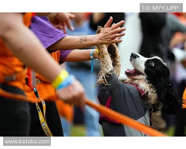 马克西携爱犬挑战敏捷赛道现场观众热情高涨达15000人 马克西携爱犬挑战敏捷赛道现场观众热情高涨达15000人